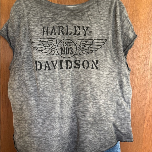 Harley-Davidson Gray T-Shirt and Blue Jeans Set - Picture 7 of 10